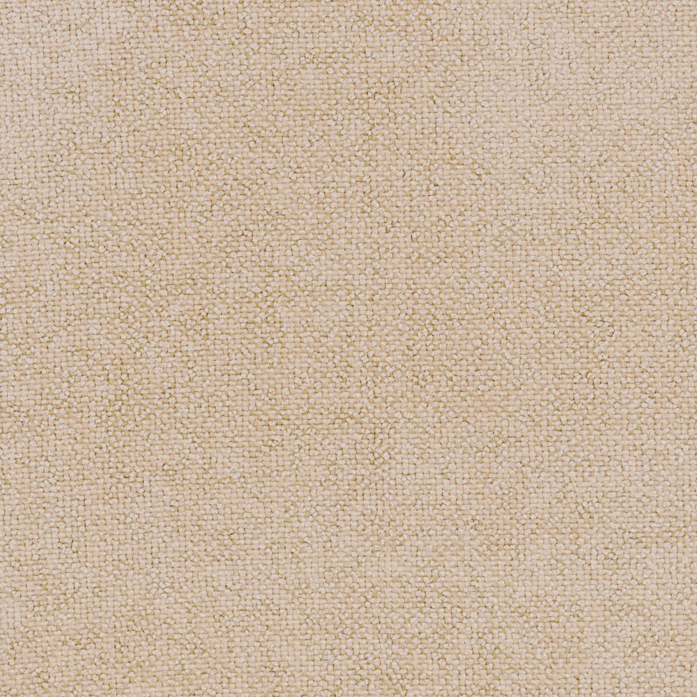 Socoa Beige