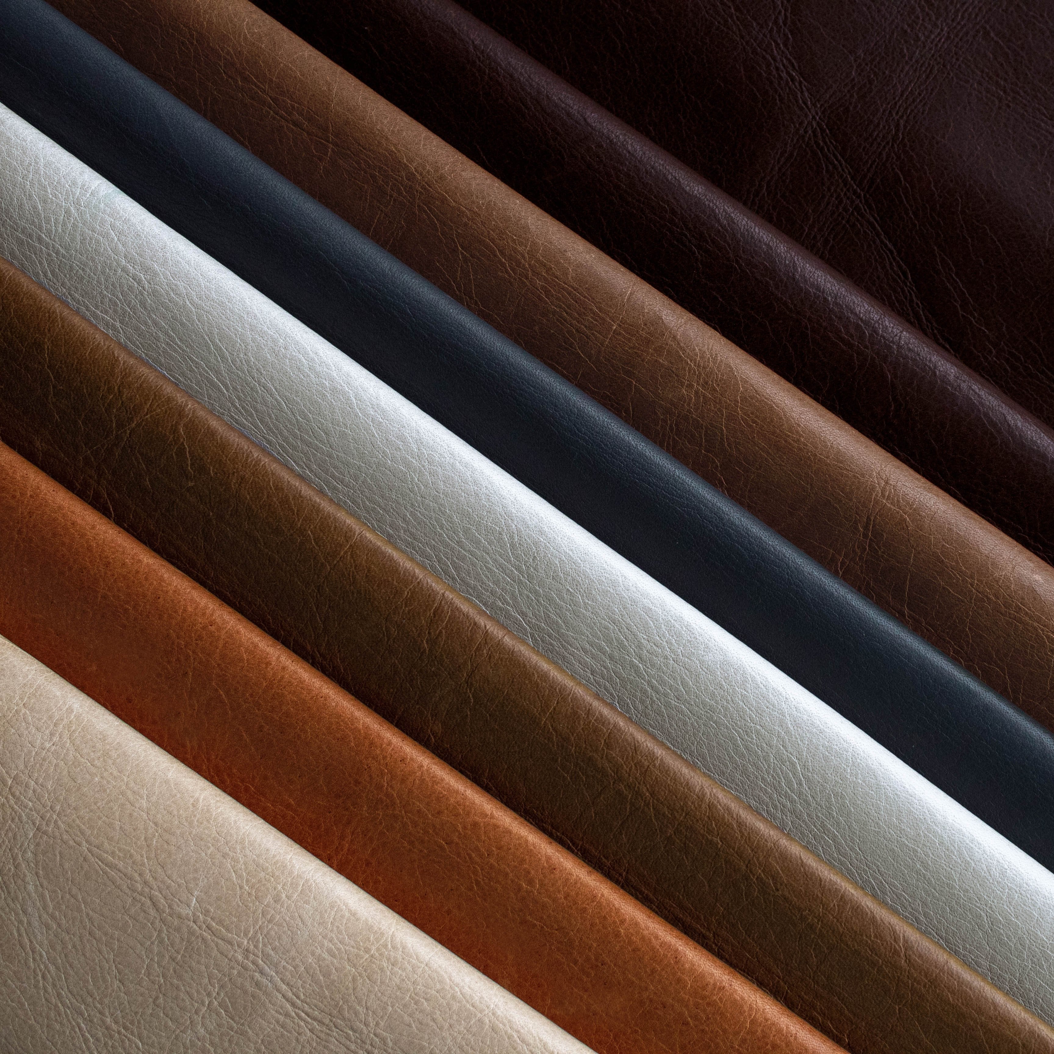 Hoof It - Cafe Latte