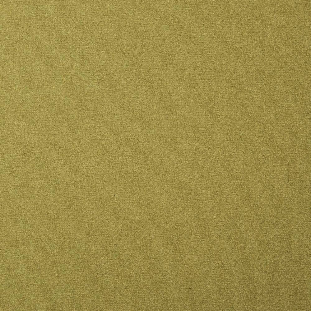 Arthur's Seat Lichen