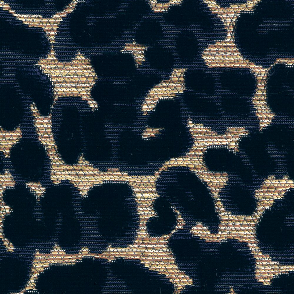 Éternelle Bleu Misia