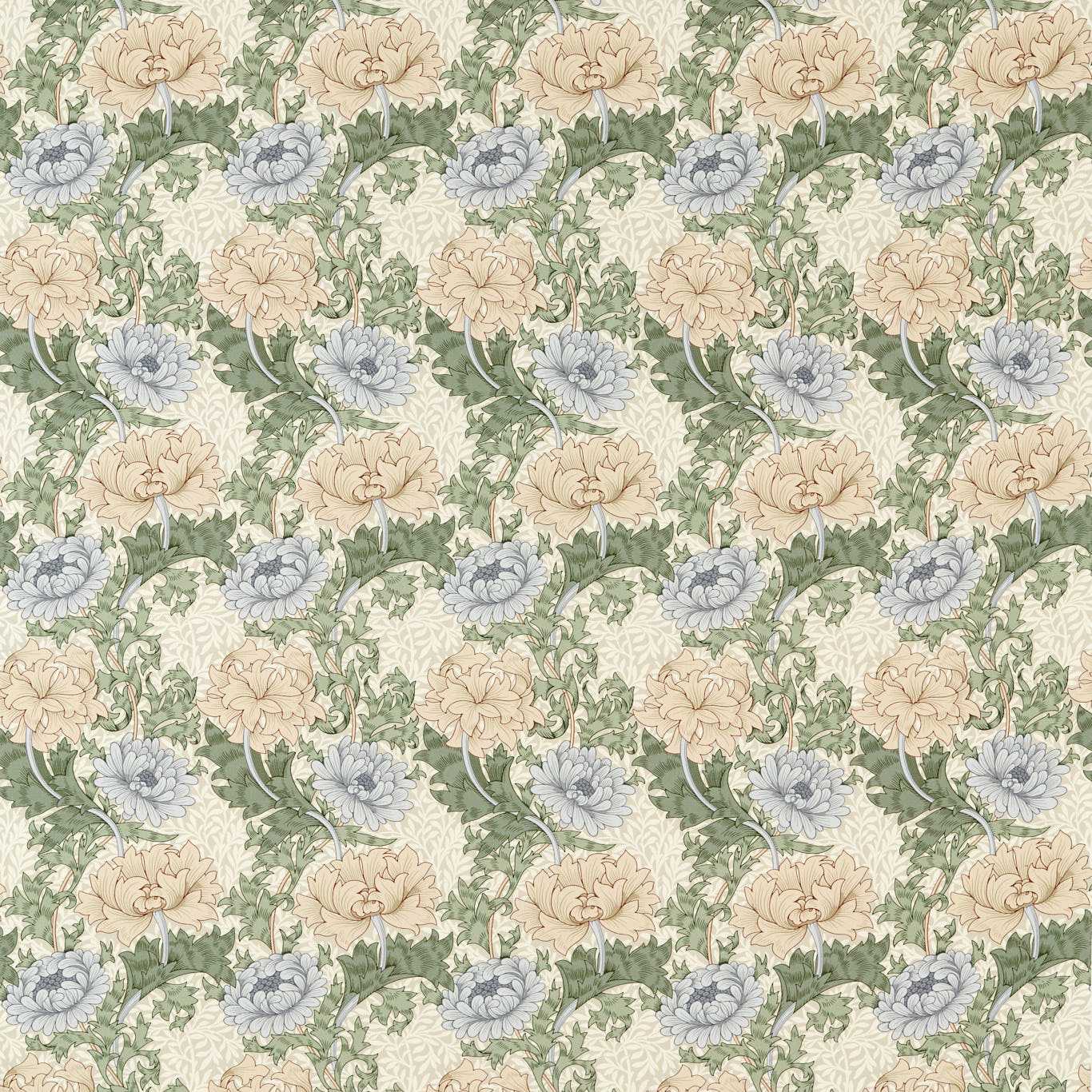 Chrysanthemum - Mineral/Cream