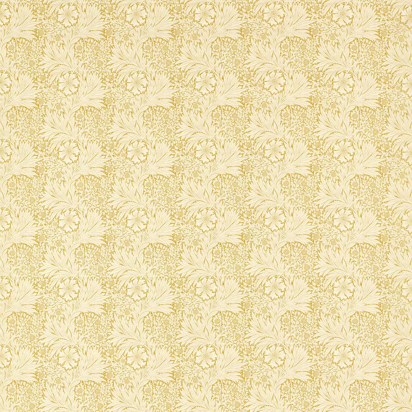 Marigold - Wheat