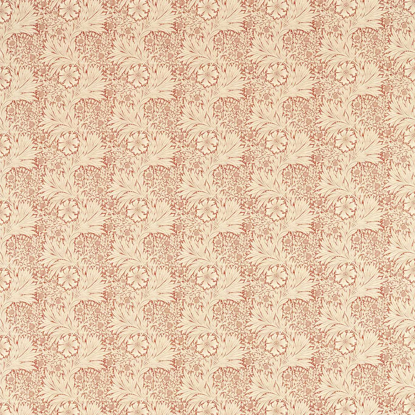 Marigold - Russet