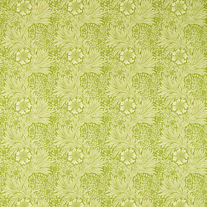 Marigold - Cream / Sap Green