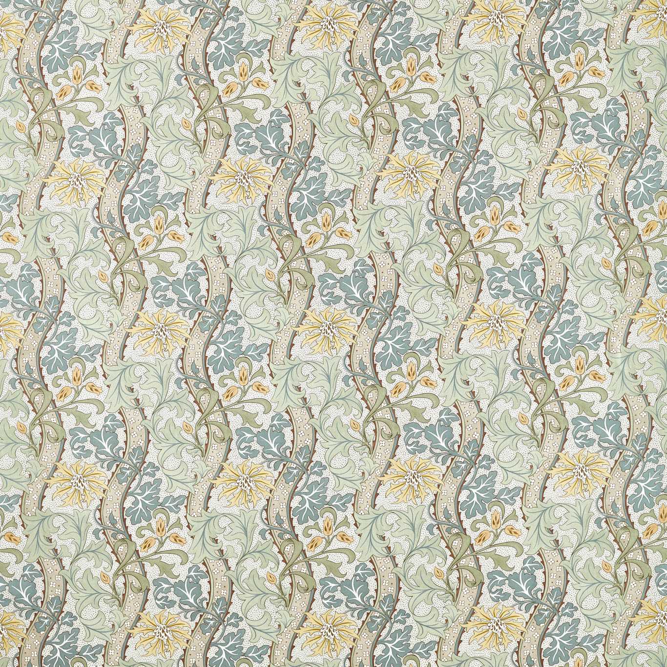 Cornflower - Lemon / Sage
