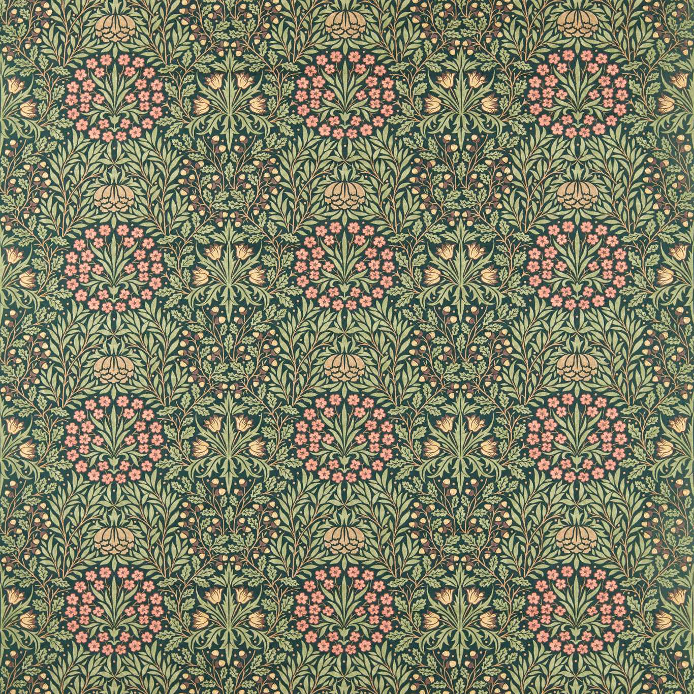 Daisy & Oak - Forest
