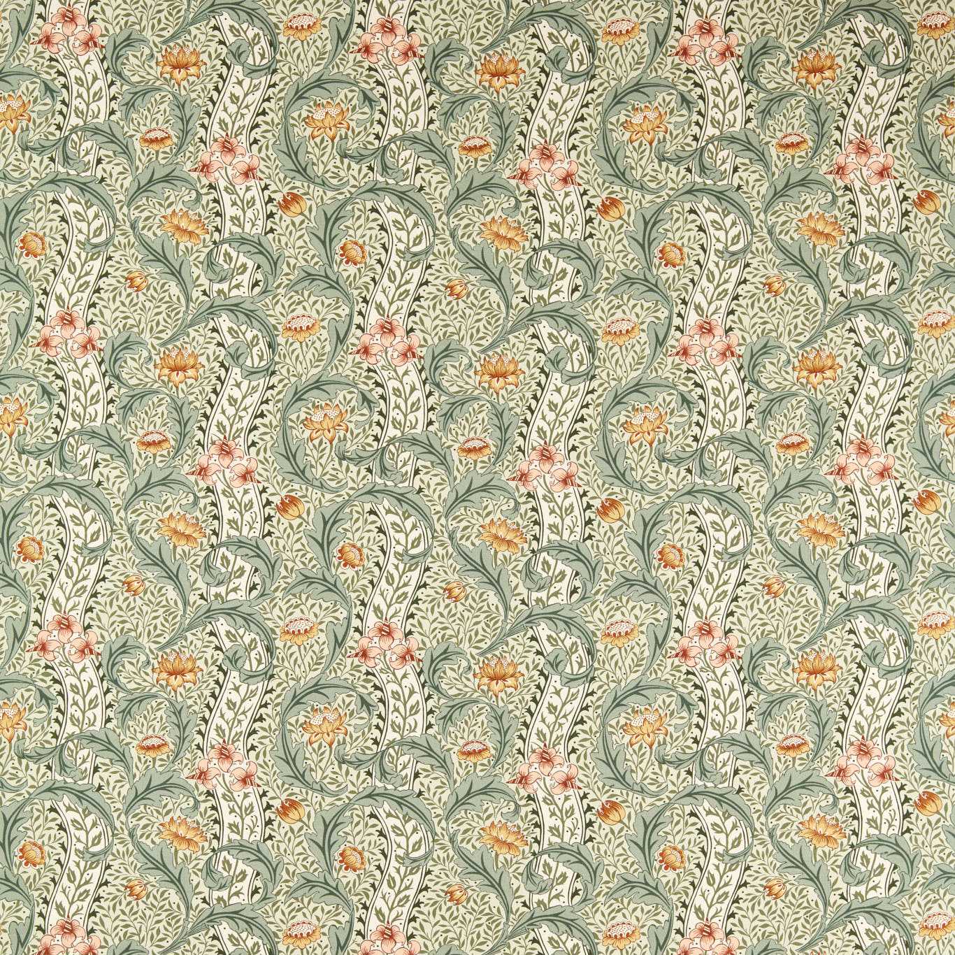 Wild Tulip & Vine - Beayleaf / Ochre