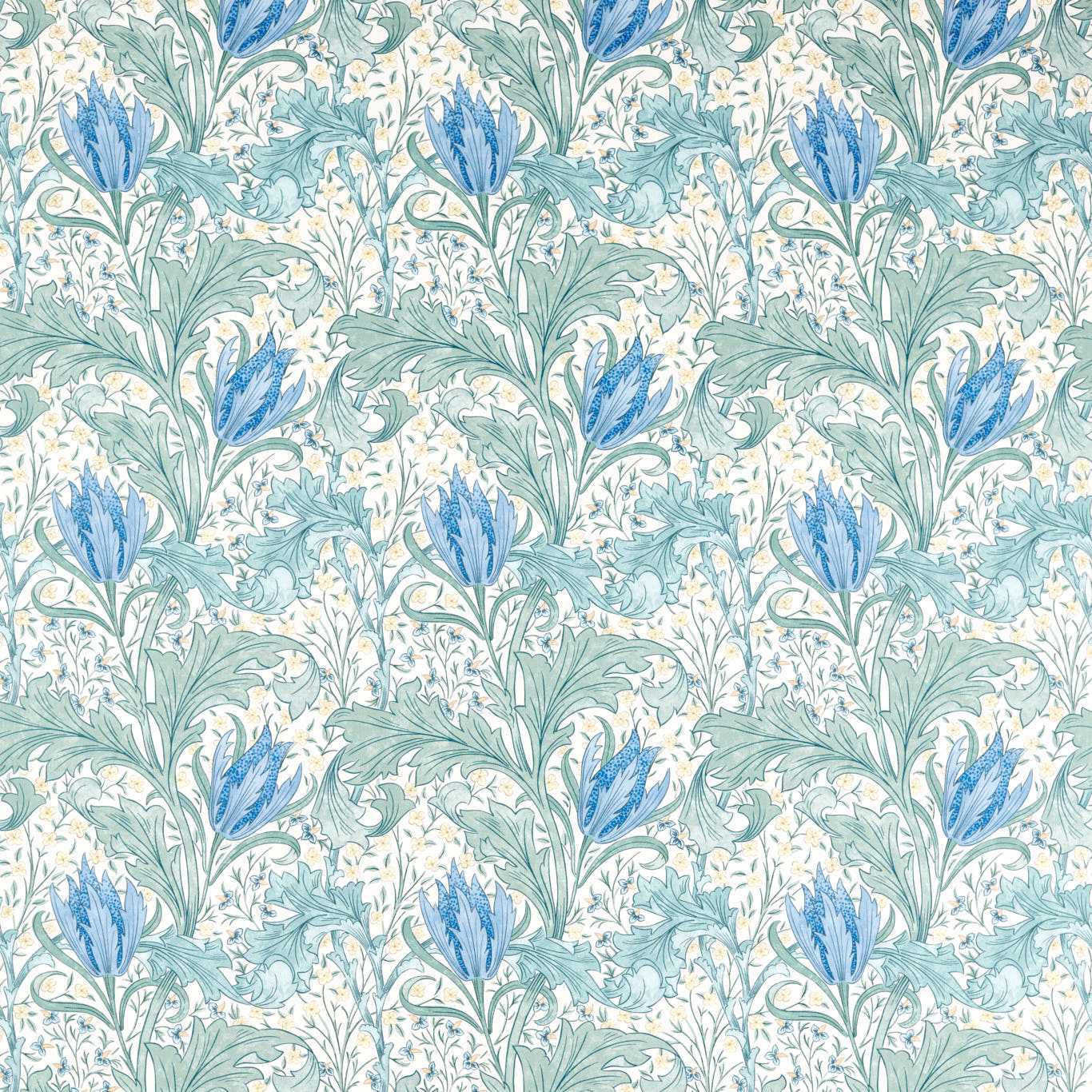 Lent Lily - Cornflower Blue