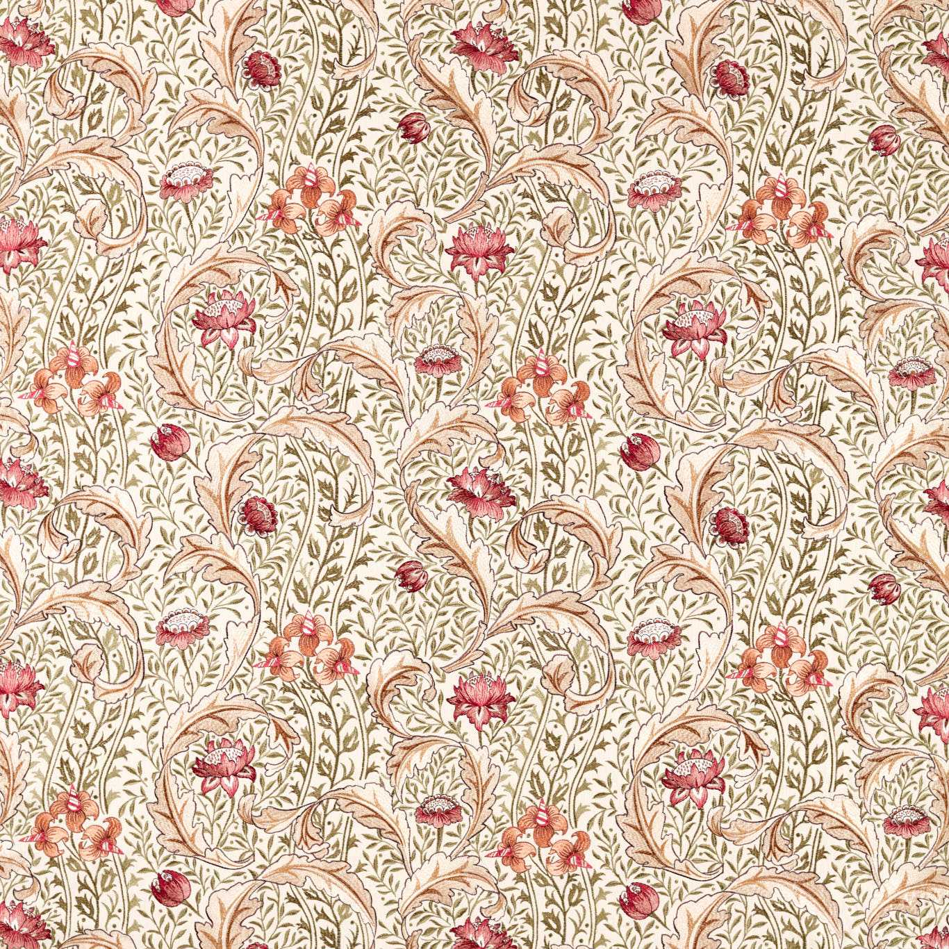 Wild Tulip & Vine Embroidery - Rose  /  Bayleaf