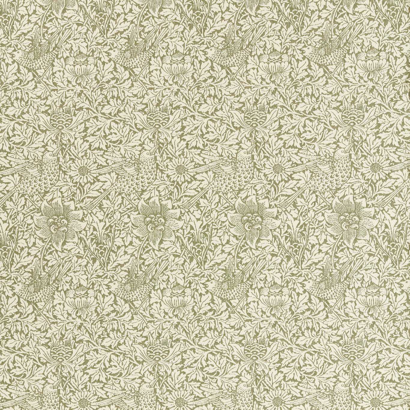 Bird & Anemone Weave - Sage