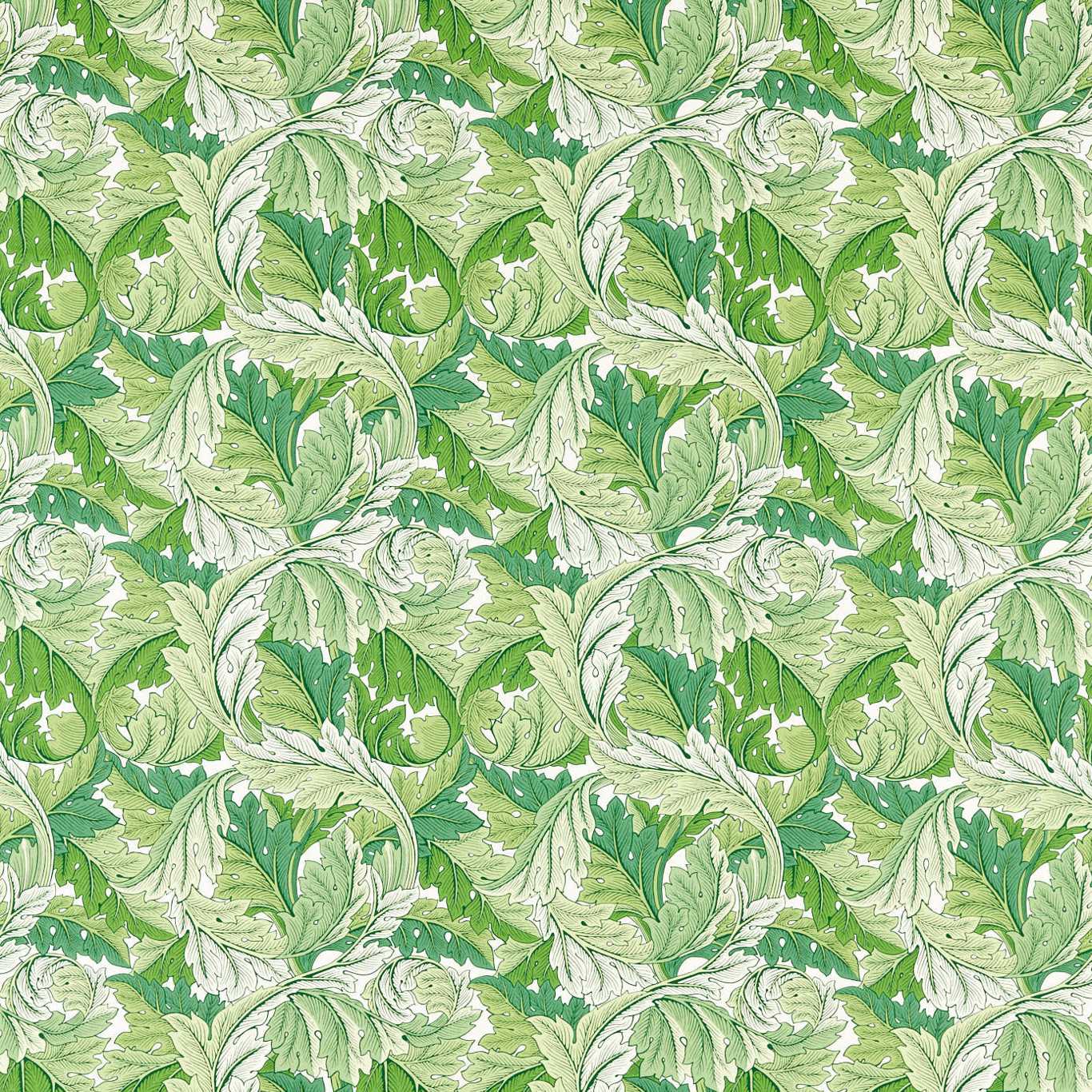 Acanthus - Leaf Green