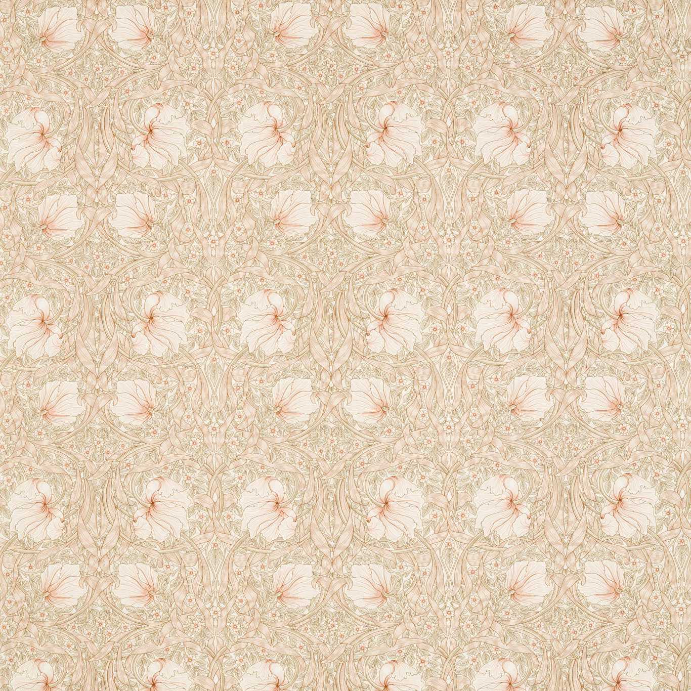 Pimpernel WW - Soft Pink