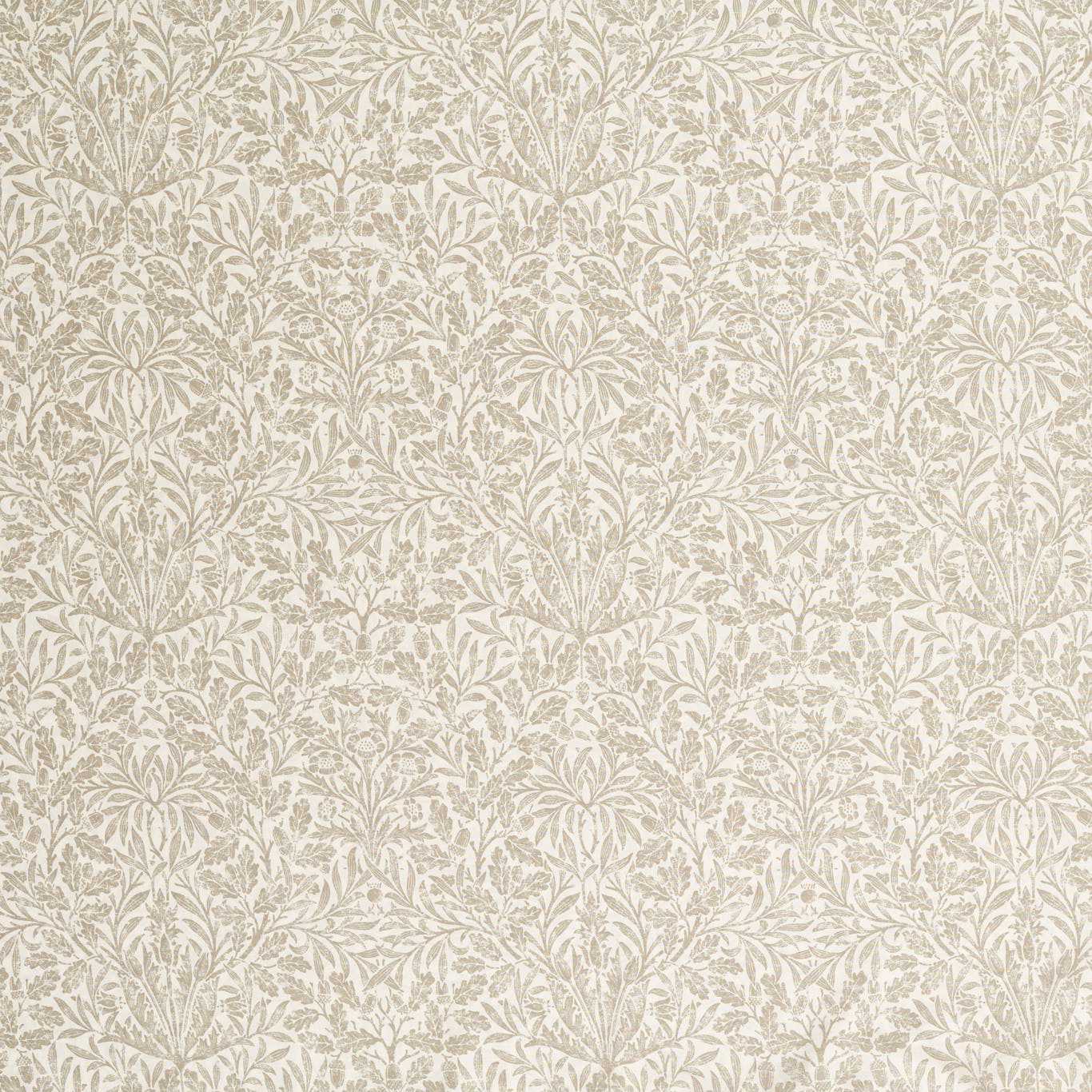 Pure Acorn Sheer WW - Beige