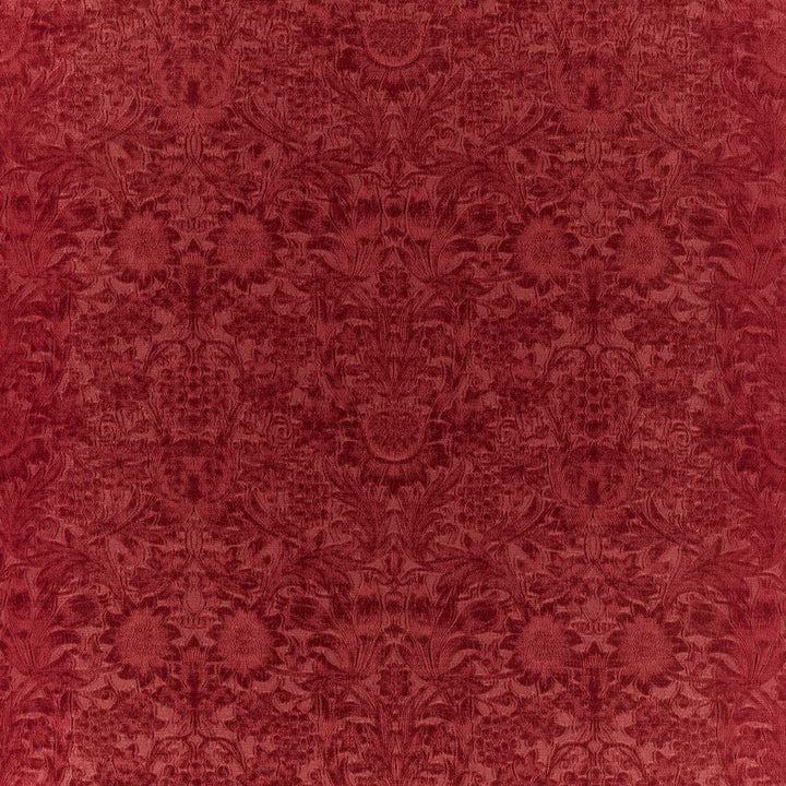 Sunflower Caffoy Velvet - Barbed Berry