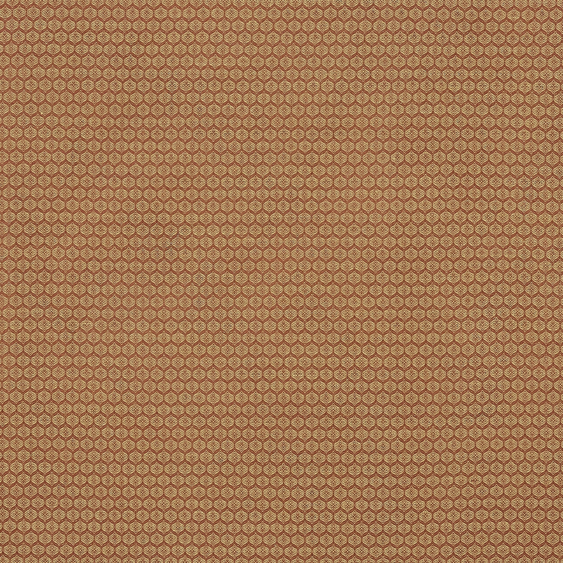 Arabesque - Spice