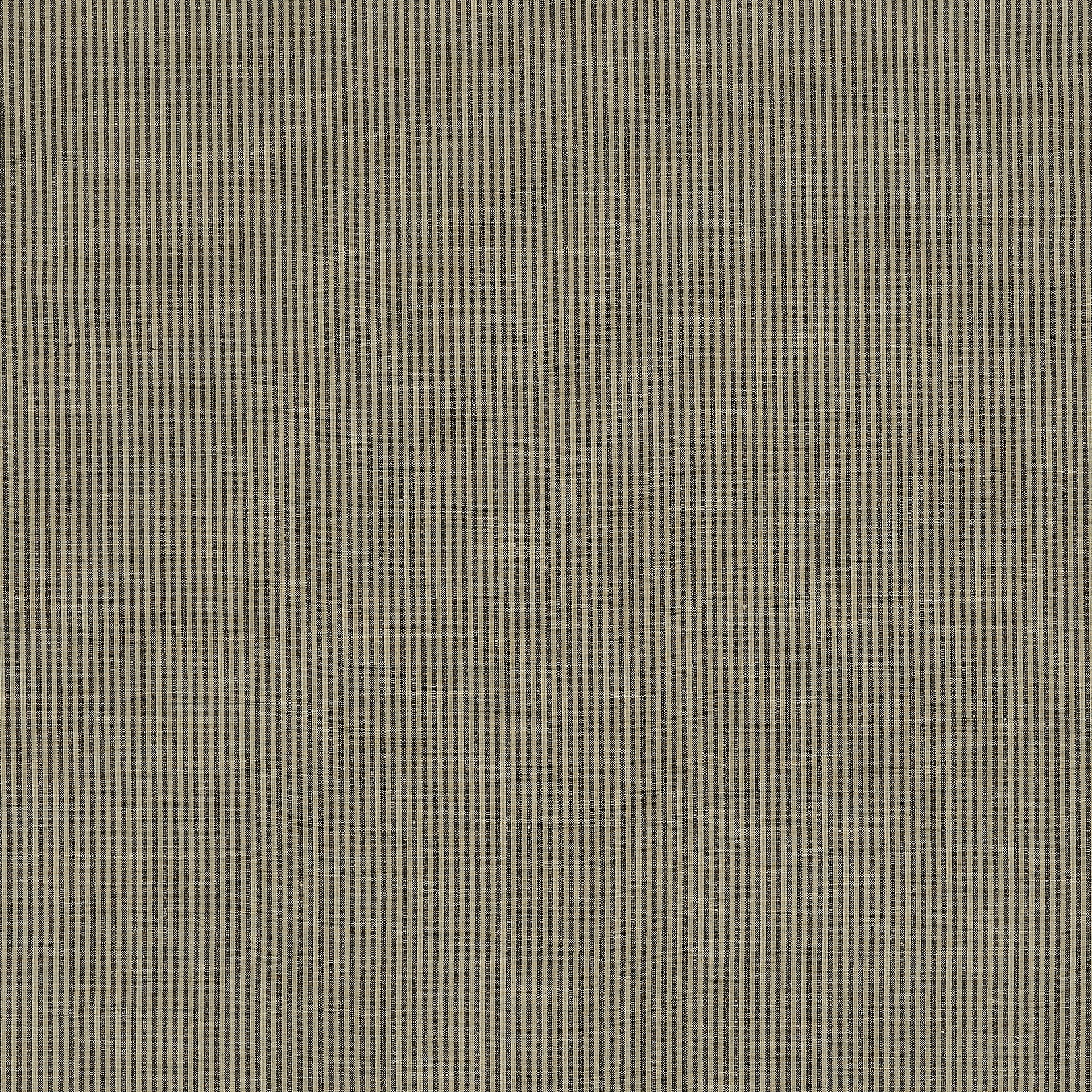 Meridian - Carbon