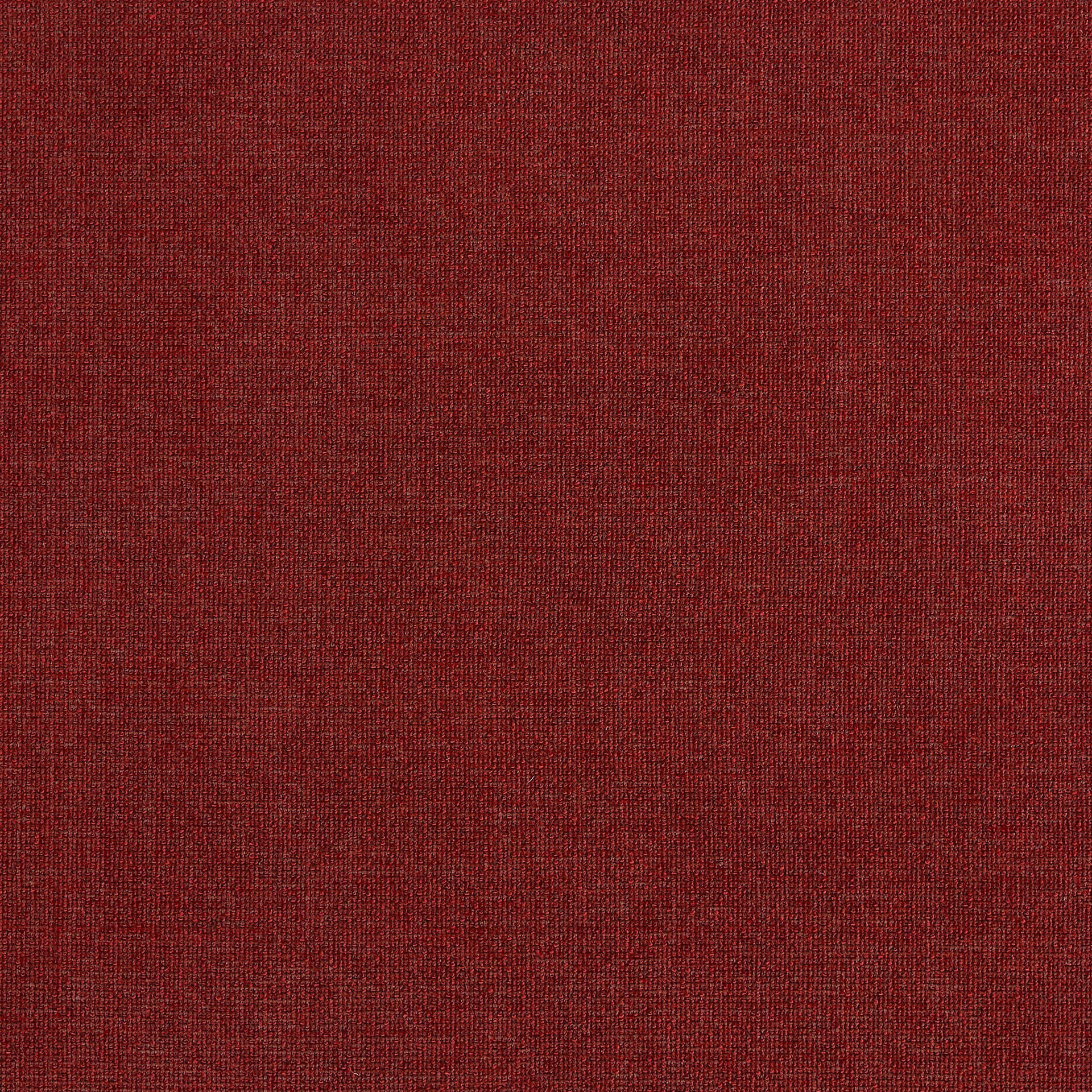Grotto - Spice