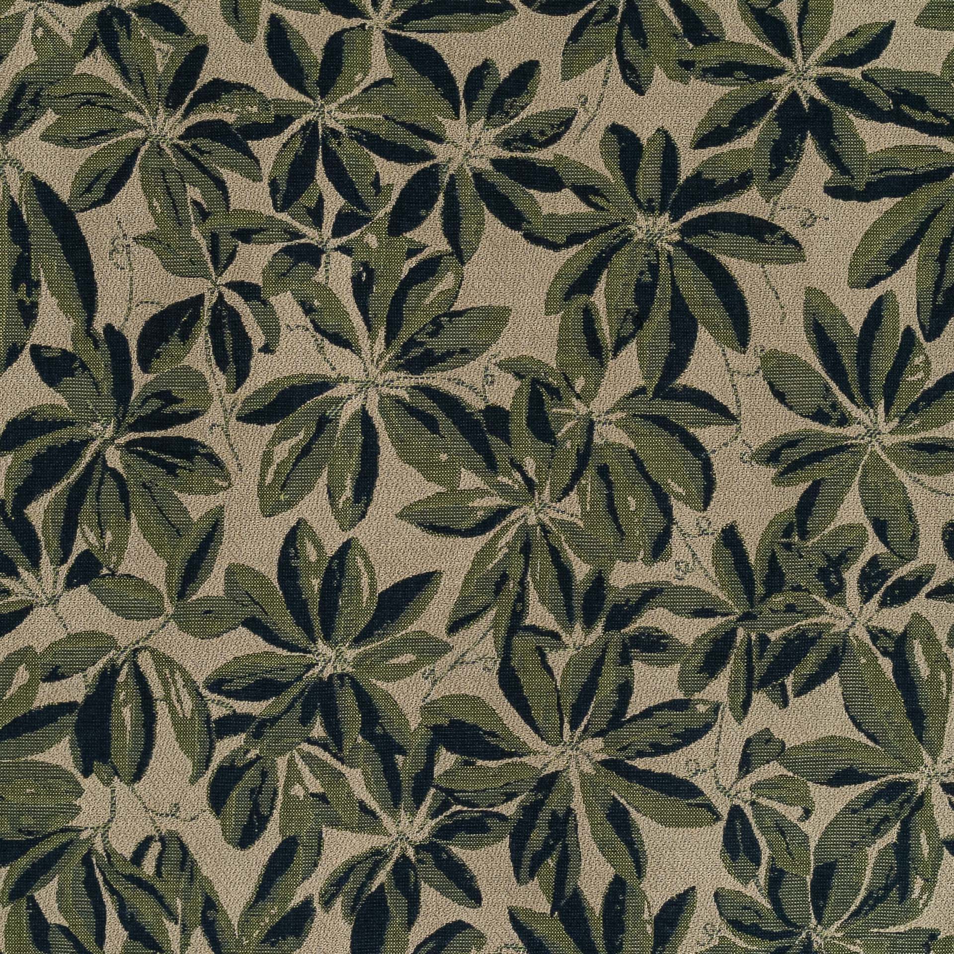 Plumeria - Rainforest