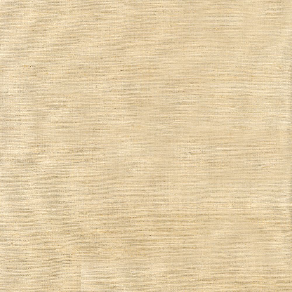 Chère Vivienne Champagne