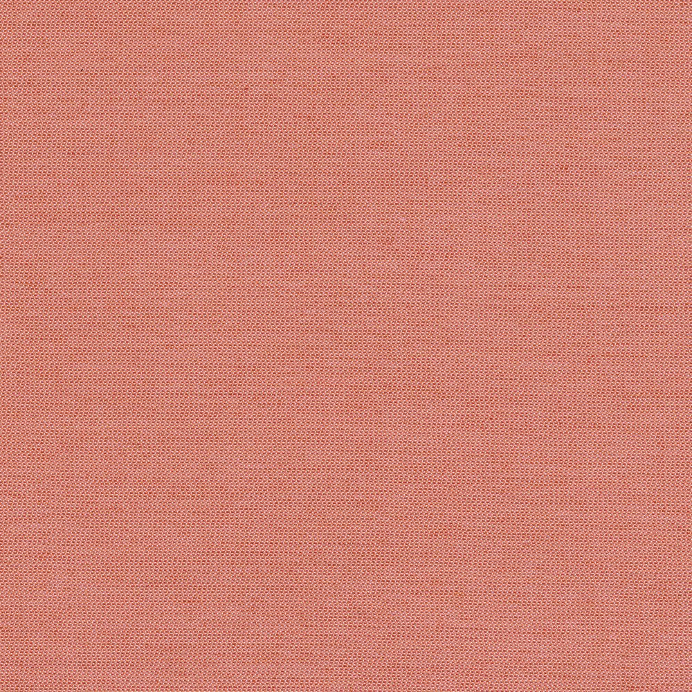 Motu Corail