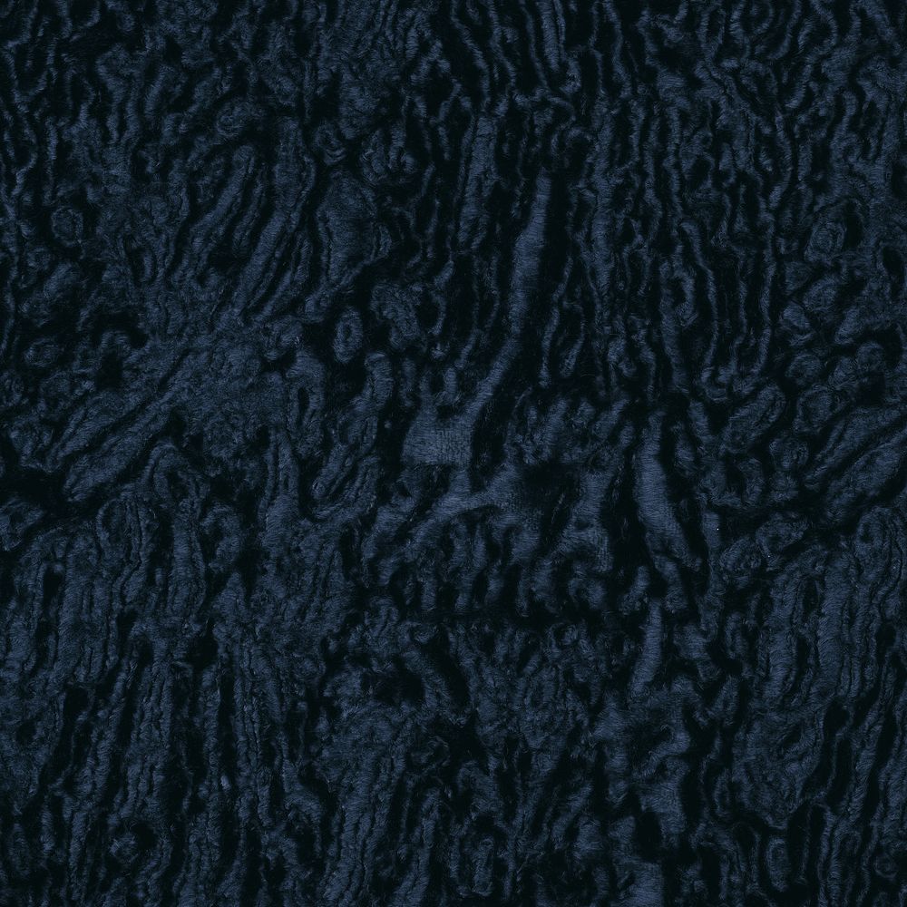 Le Train Bleu Minuit