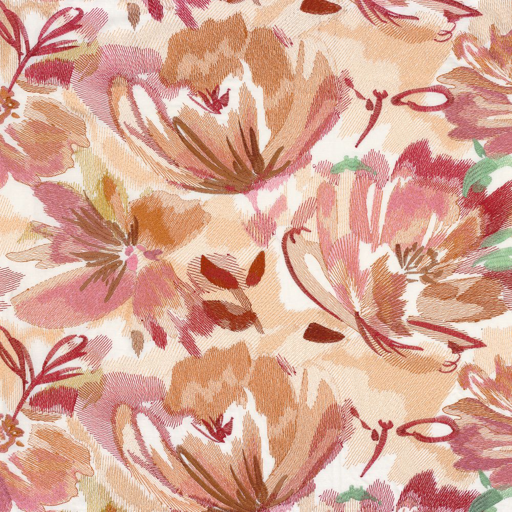 Pretoria Blush Garance
