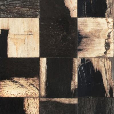 Petrified Wood - Mixed