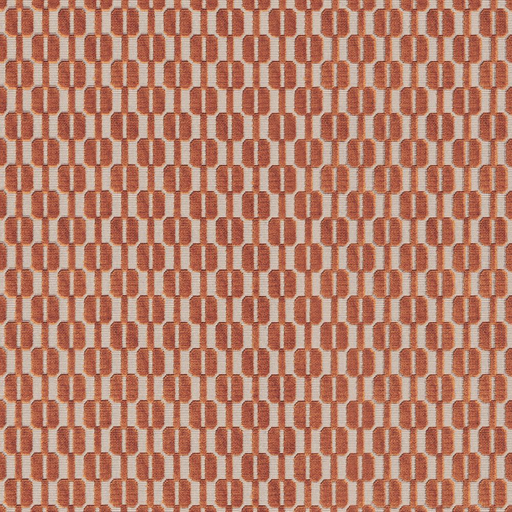 Inseparables Orange