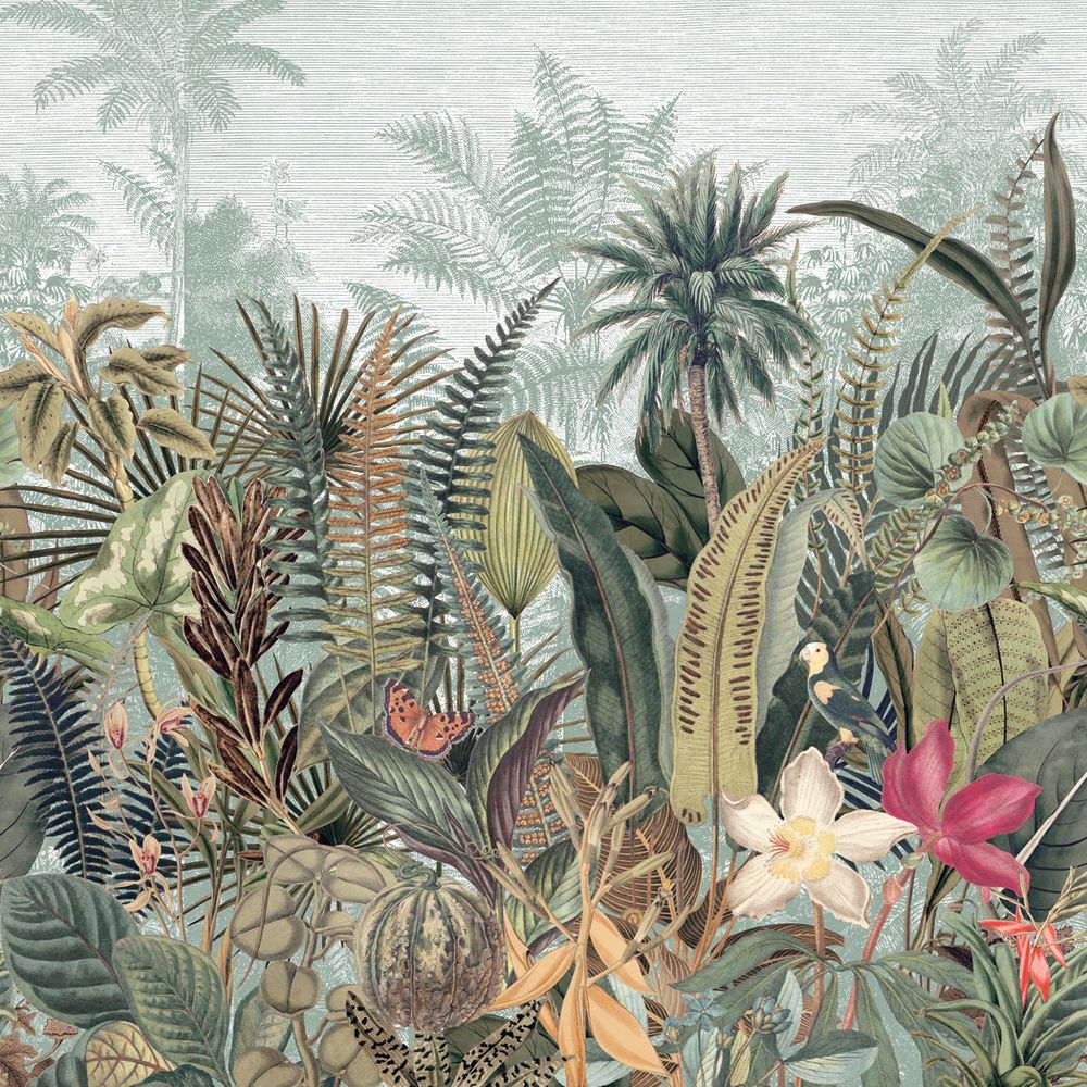 Daintree Céladon / Kaki