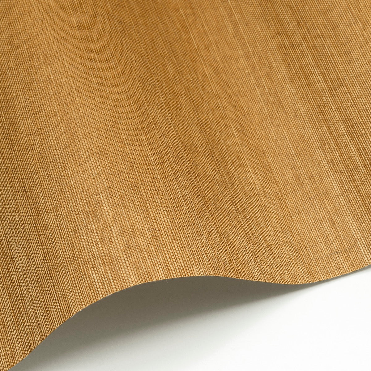 Sisal WP - SID141