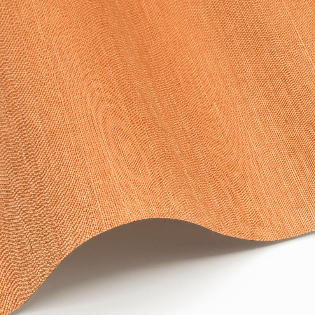 Sisal WP - SID145