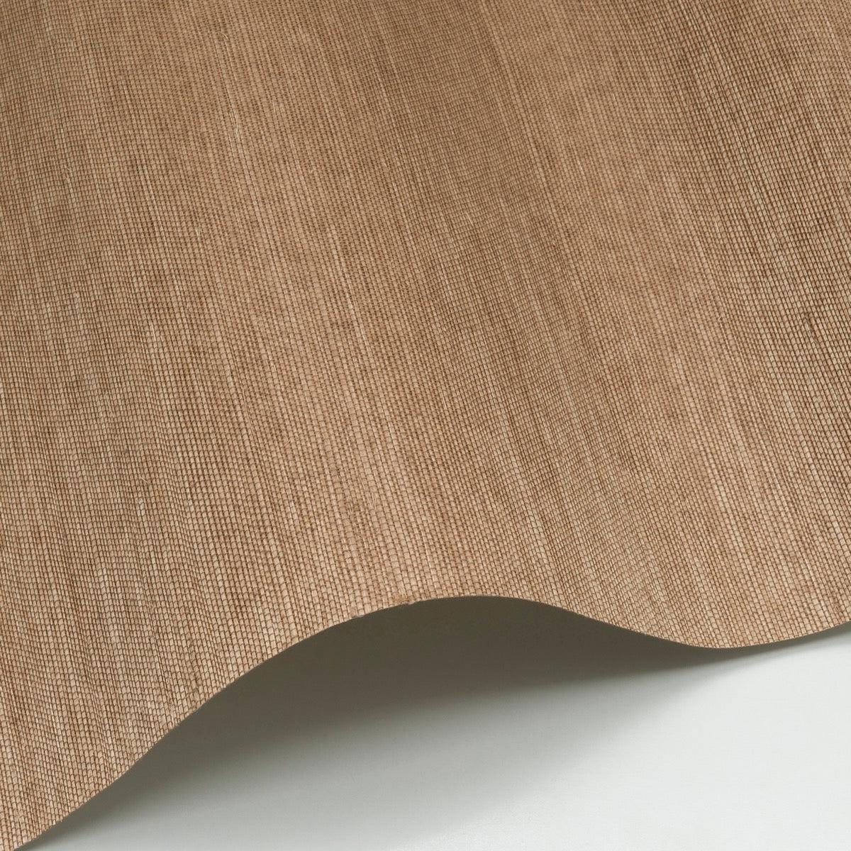 Sisal WP - SID151