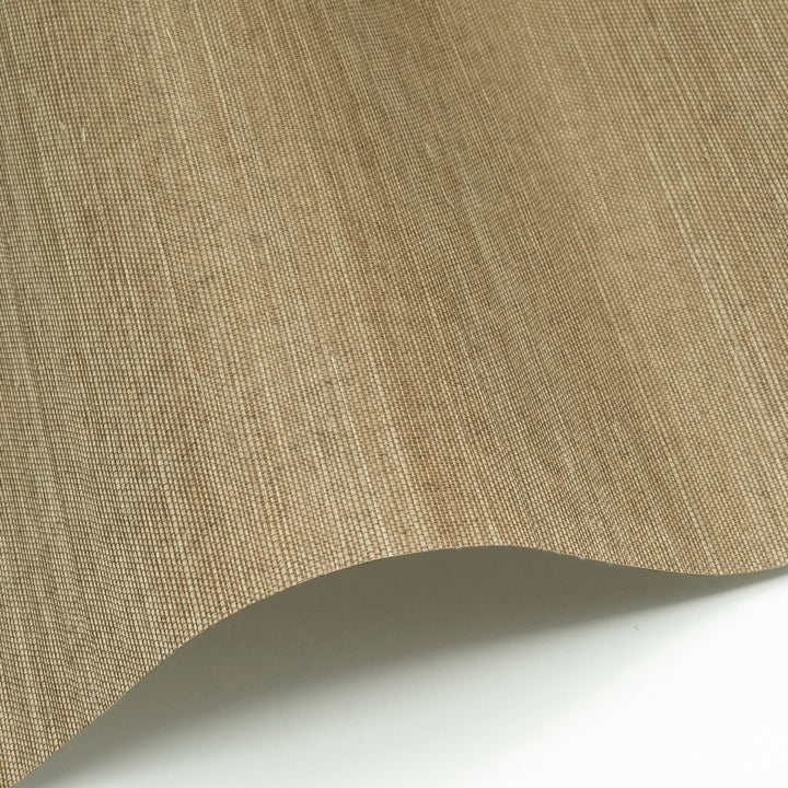 Sisal WP - SID154