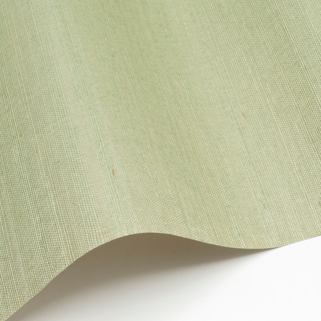Sisal WP - SID156
