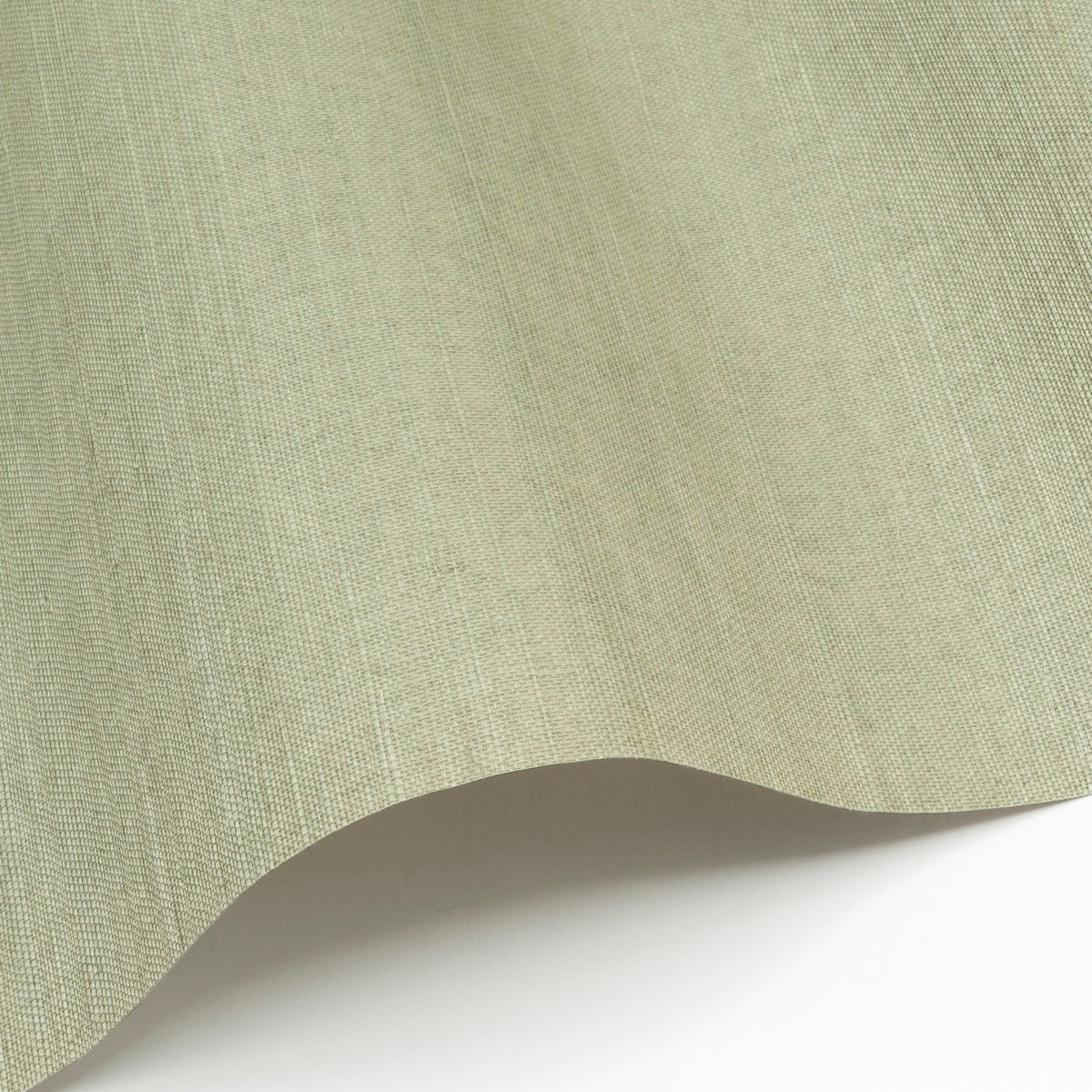 Sisal WP - SID157