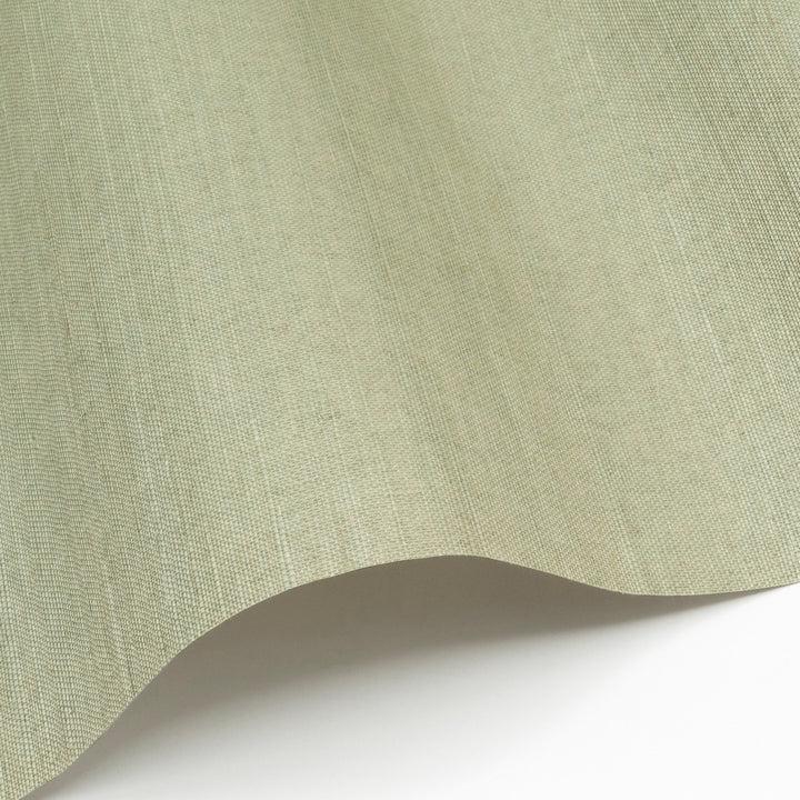 Sisal WP - SID157