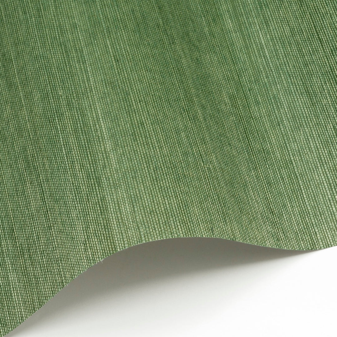 Sisal WP - SID159