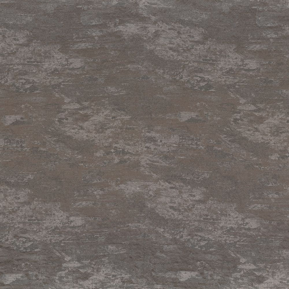 Belle Dame Gris Fusain