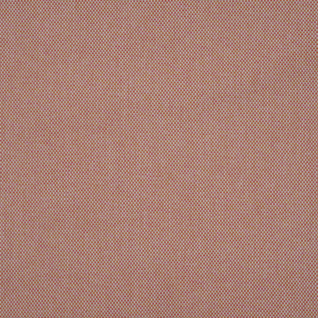 Crossway - Coral