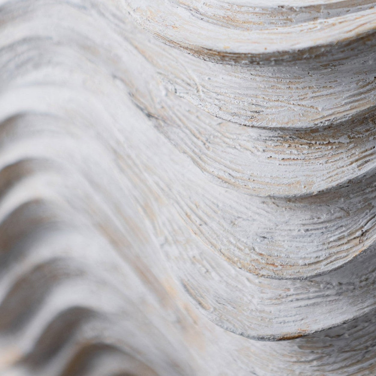 Clam Shell Wall Light Small - Drift White