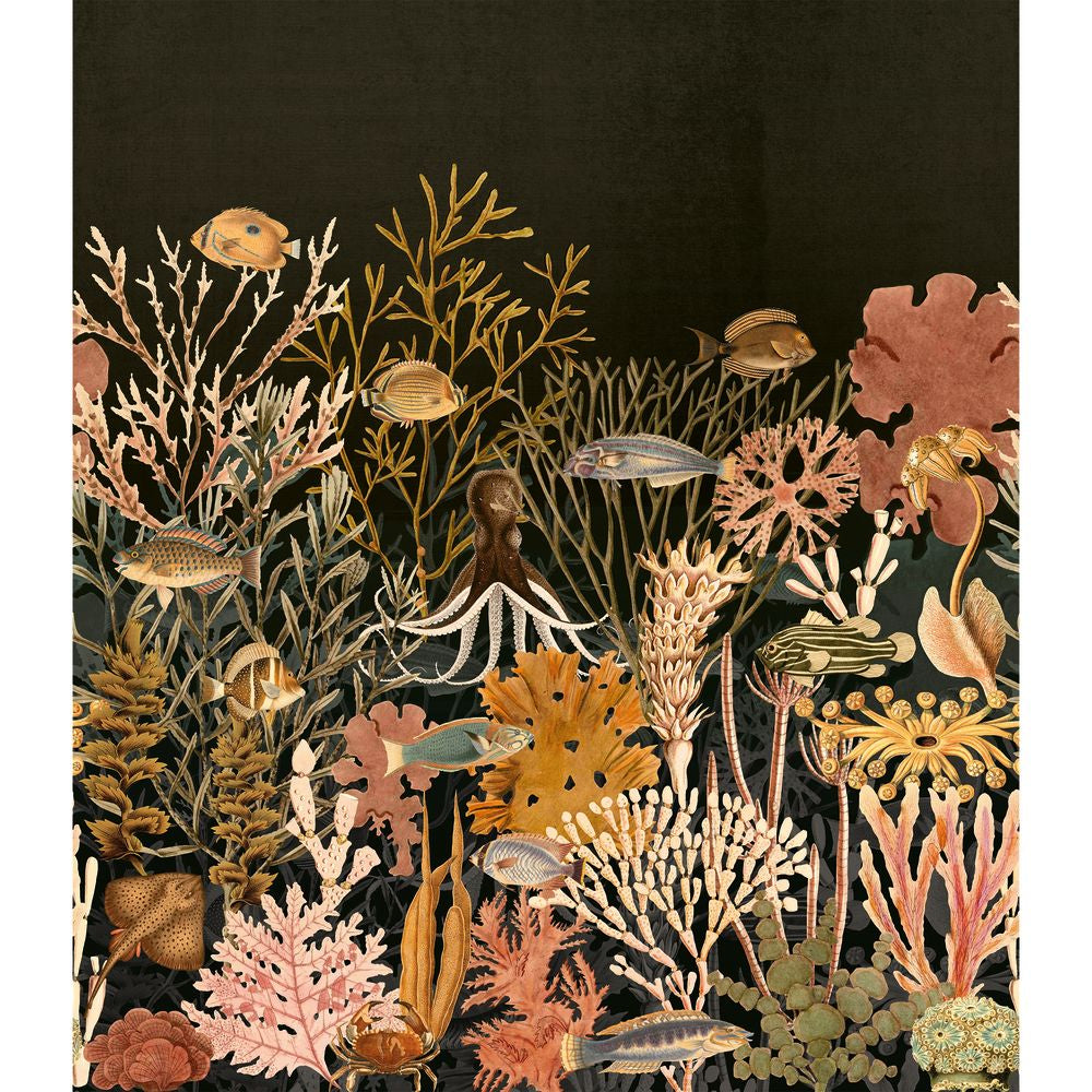 Moorea Noir De Lune  /  Multicouleurs