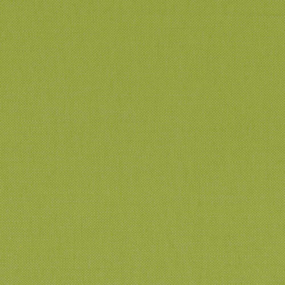 Paris Texas 5 Vert Mousse