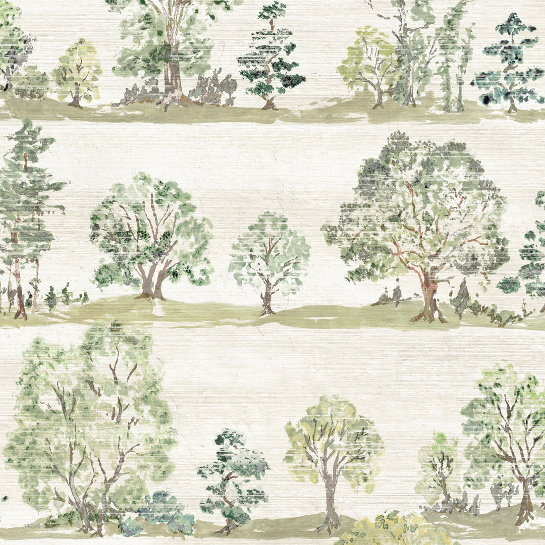 Woodland Walk - Spring