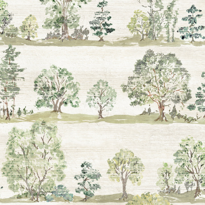 Woodland Walk - Spring