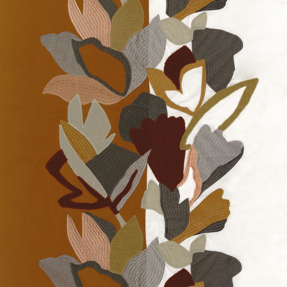 Xalapa Mordore / Acajou