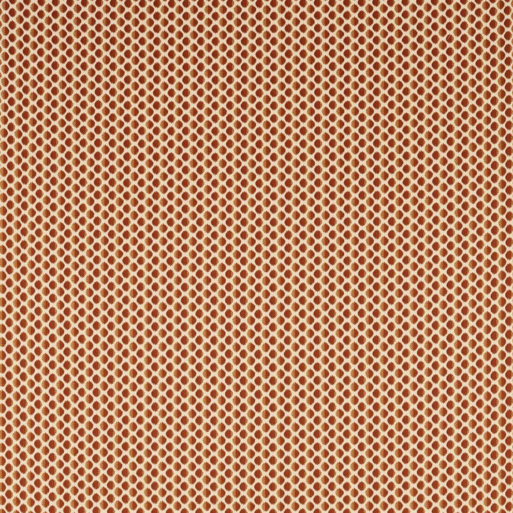 Seymour Spot - Amber