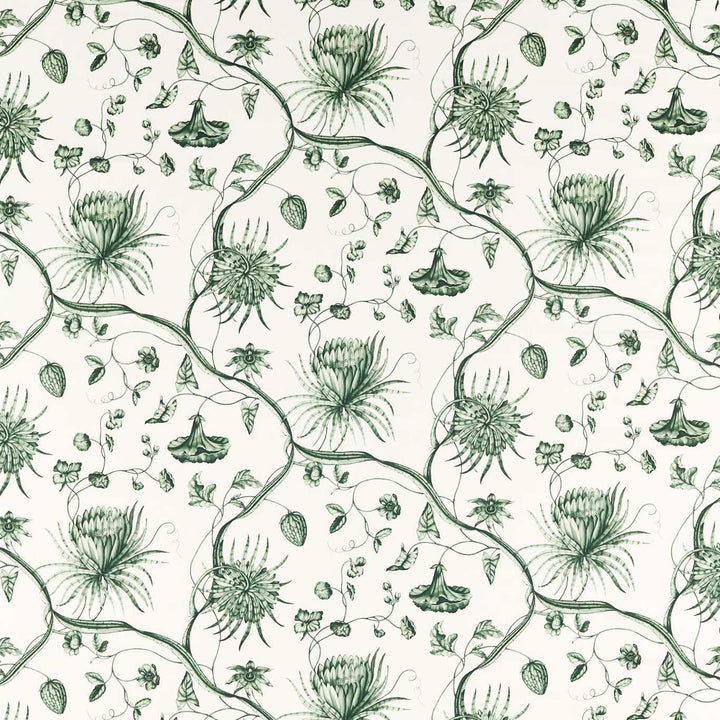 Phaedra Toile - Huntsmans Green
