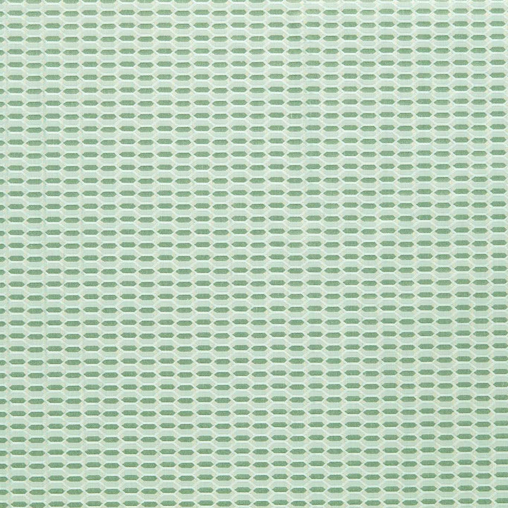 Domino Trellis - Eau De Nil