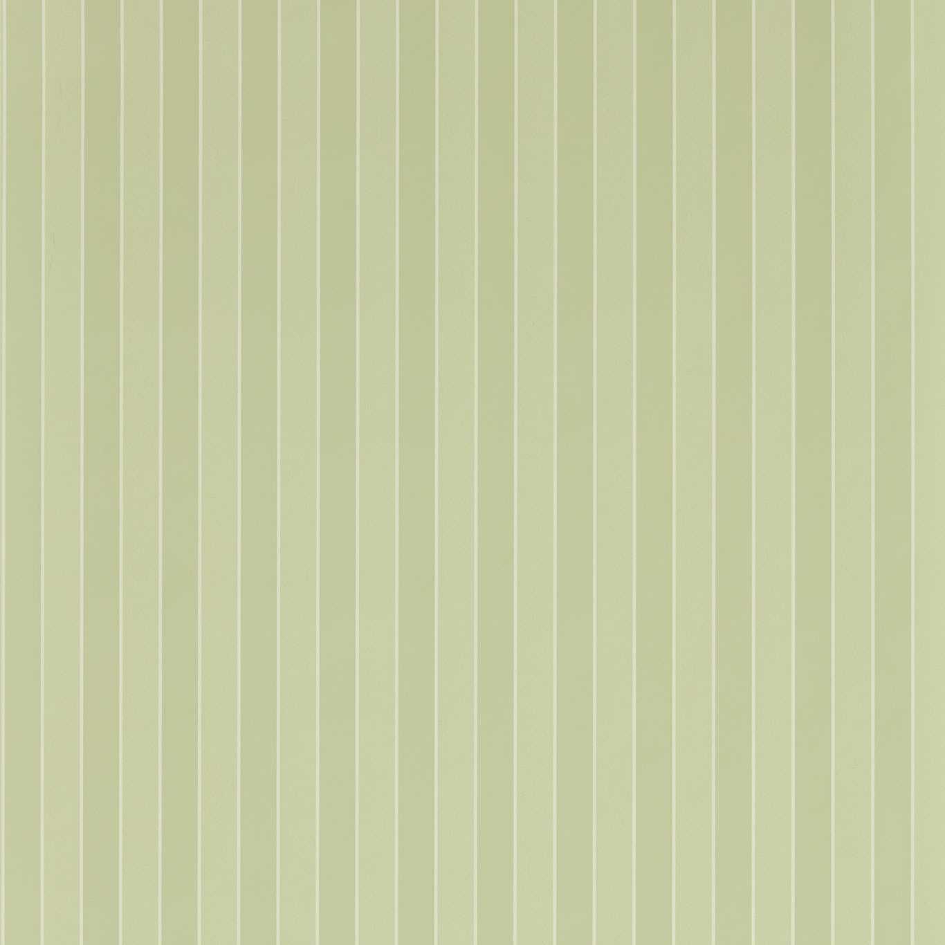 Semper Stripe - Pale Evergreen