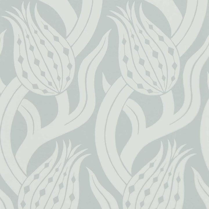 Persian Tulip - Quartz Grey